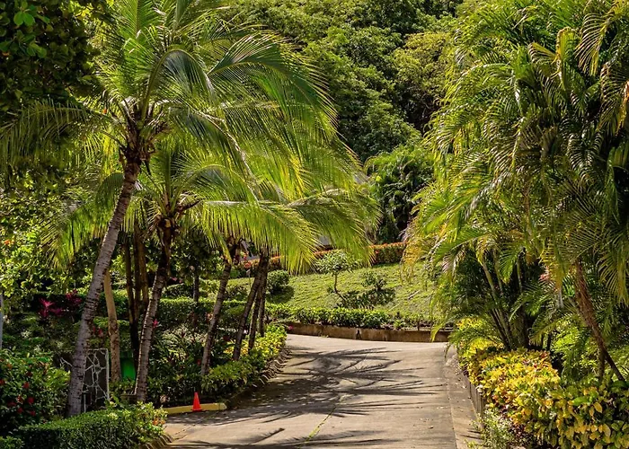 Cielo - Oceanview 3br Playa Ocotal